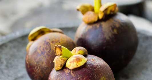 Garcinia Cambogia pour maigrir